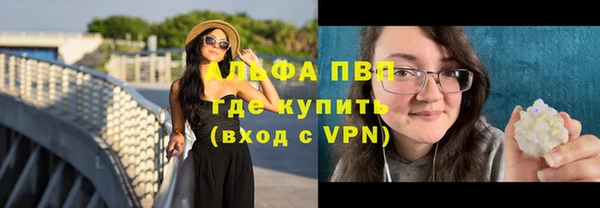 шишки Белоозёрский