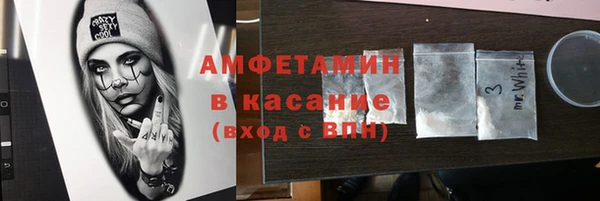 шишки Белоозёрский