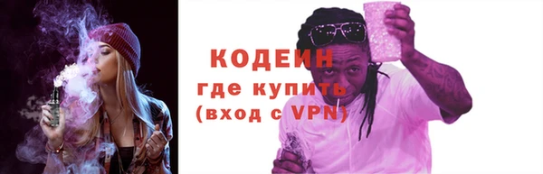 шишки Белоозёрский