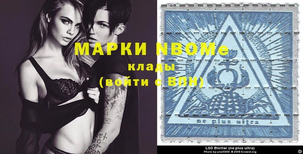 шишки Белоозёрский