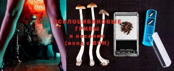 стаф Белокуриха